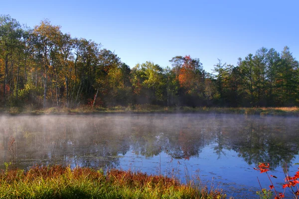 Mistroostig landschap — Stockfoto