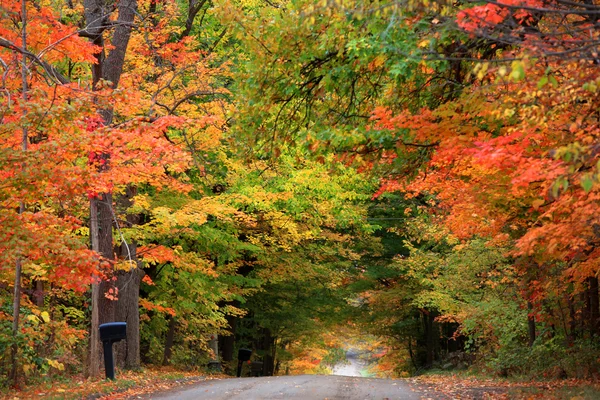 Rural drive in Washtenaw county — Stock Photo, Image