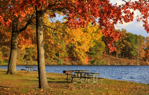 Осінь у парку Кенсінгтон — стокове фото
