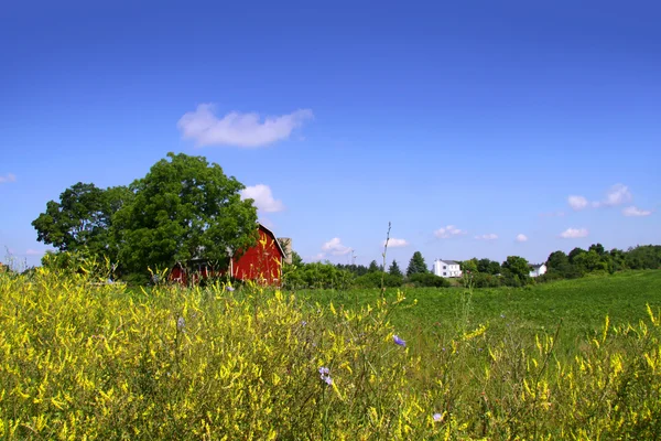 Farm landscape — Stock Photo, Image