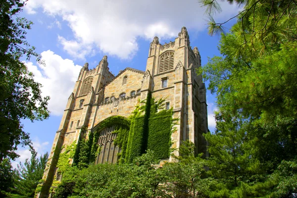 Universidade de Michigan — Fotografia de Stock