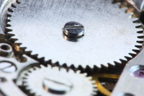 Watch gears — Stock Photo, Image