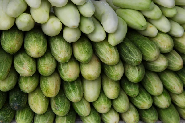 Cucumbers — Stock Photo, Image