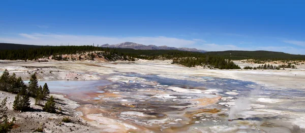 Norris geyser basin — Stock Photo, Image