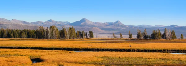 Krajobraz rzeki Yellowstone — Zdjęcie stockowe