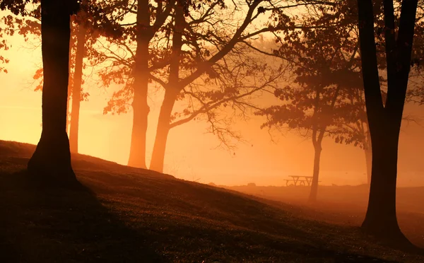 Szene am frühen Morgen — Stockfoto