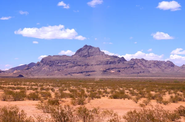 Desert landscape — Stock Photo, Image