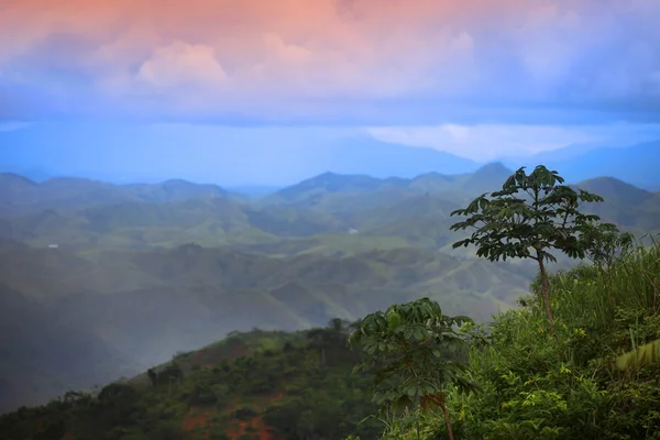 Brazilian highlands — Stock Photo, Image