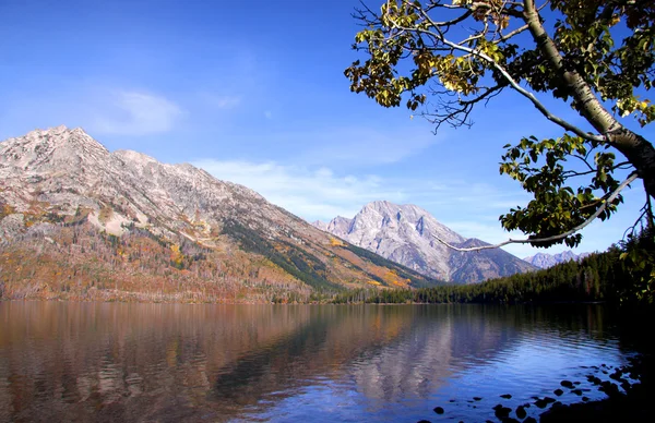 Jenny Lake... — Fotografia de Stock