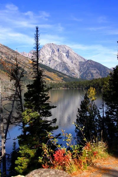 Grand Tetons — Φωτογραφία Αρχείου