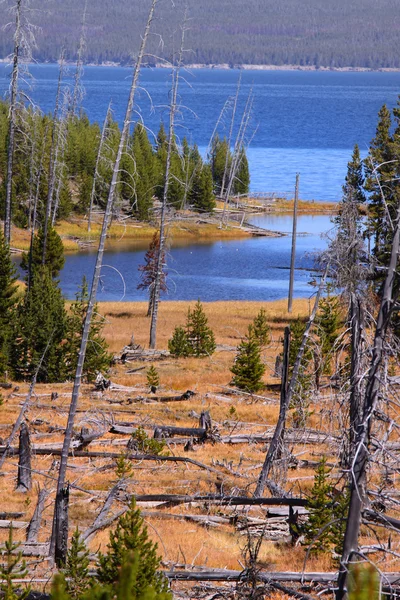 Yellowstone λίμνη — Φωτογραφία Αρχείου