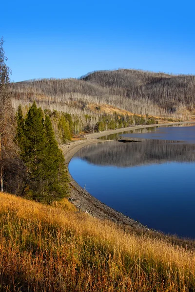 Gyönyörű yellowstone — Stock Fotó