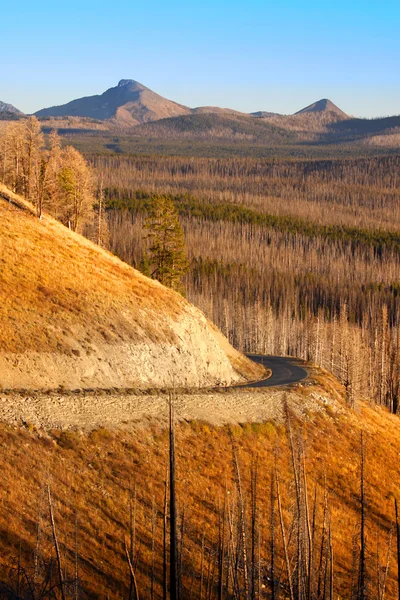 Yellowstonský národní park — Stock fotografie