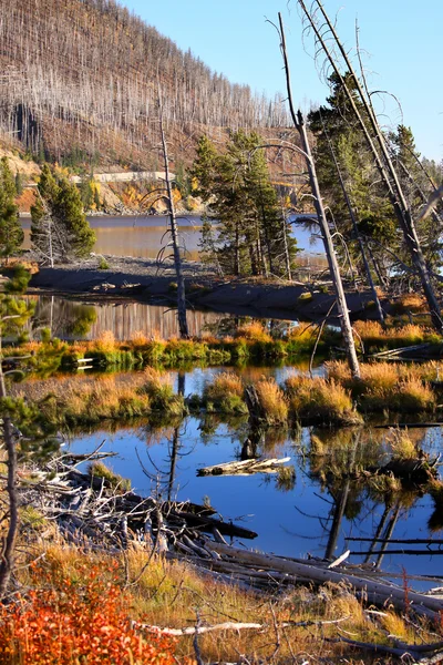 Jezero Yellowstone — Stock fotografie