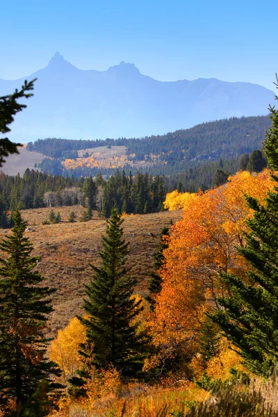 Jesień w yellowstone — Zdjęcie stockowe