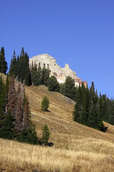 Rocky mountains — Stock Photo, Image