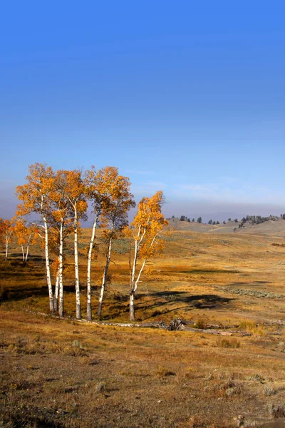 Hösten i wyoming — Stockfoto