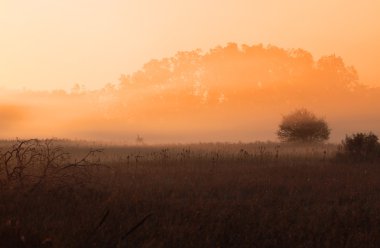 puslu sabah