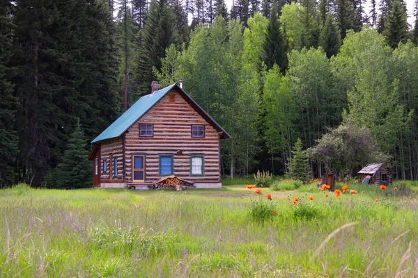 Log cabin — Stock Photo, Image