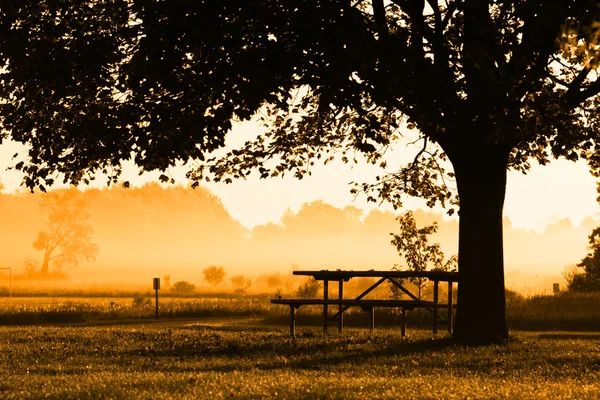 Höst morgon — Stockfoto