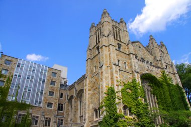 michigan Üniversitesi'nde