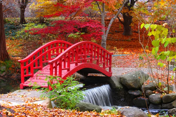 Japansk trädgård — Stockfoto