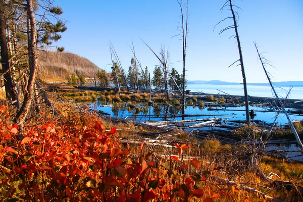 Jezero yellowstone — Stock fotografie