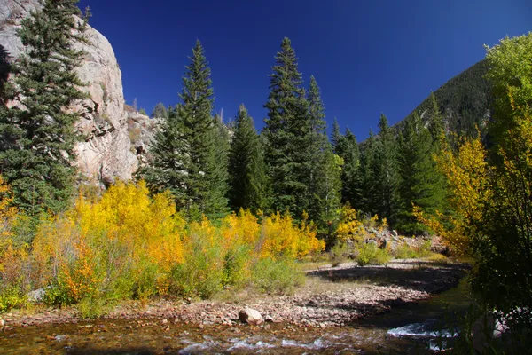 Autumn in Colorado — Stock Photo, Image
