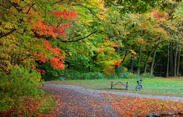 Autumn bike trail — Stock Photo, Image