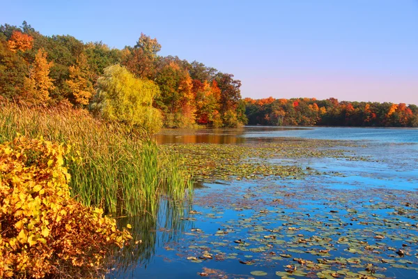 Sonbahar Gölü — Stok fotoğraf