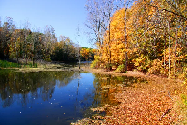 Herbstliche Szenerie — Stockfoto