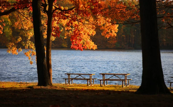 Picnic tables in the park — Stock Photo, Image