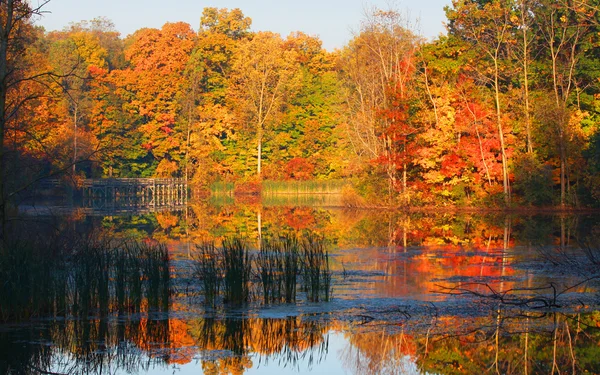 Reflexión de otoño temprano en la mañana —  Fotos de Stock