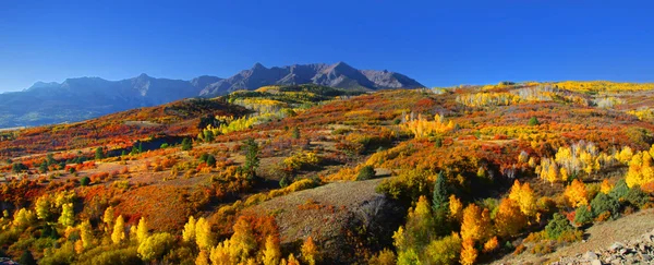 Dallas divide — Stock Photo, Image