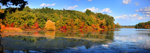 Tidig höst reflektion — Stockfoto