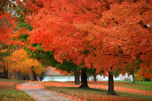 Herbstzeit — Stockfoto