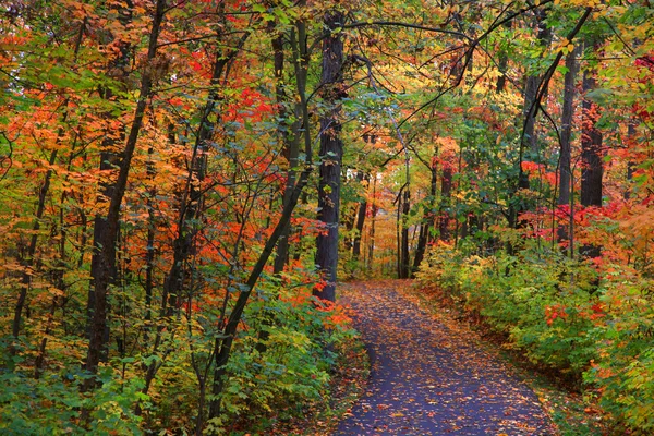 Scenic bike trail — Stock Photo, Image