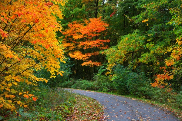 Ruelle d'automne — Photo