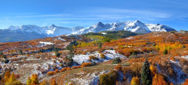 Dallas bölmek panorama