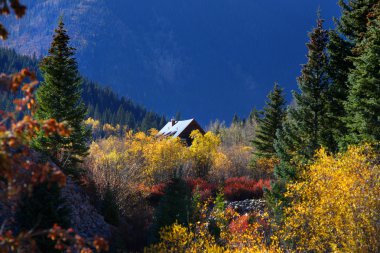 Colorado'nun güzel manzara