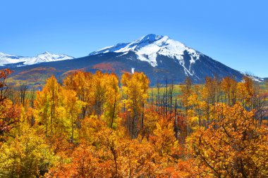 Kebler pass in autumn clipart