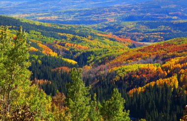 Autumn in Ohio pass, Colorado clipart