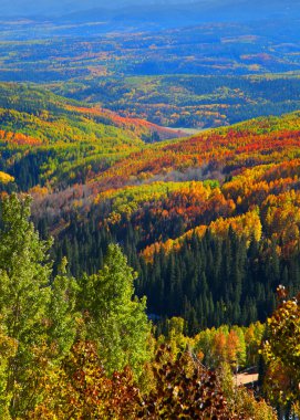 Autumn in Ohio pass, Colorado clipart