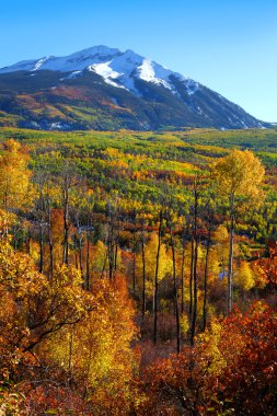 Kebler pass landscape clipart