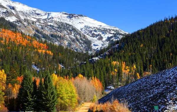 Beautiful autumn scene — Stock Photo, Image