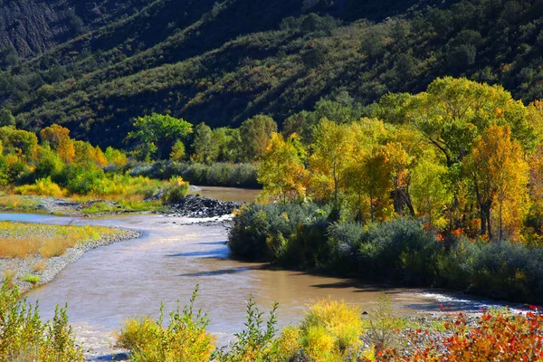 Scenic Gunnison river — Stock Photo, Image