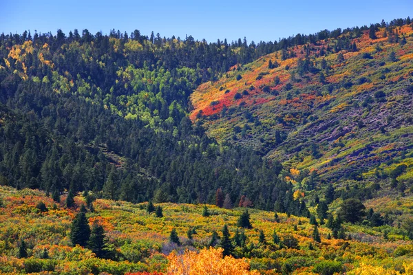 Herbst in den Bergen von colorado — Stockfoto