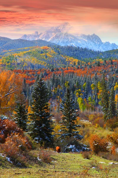 Sneffles mountain in Colorado — Stock Photo, Image