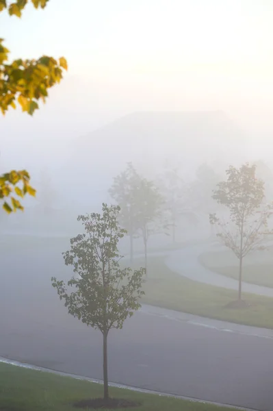 Nebliger Morgen — Stockfoto