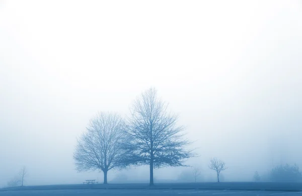 Brume d'hiver — Photo